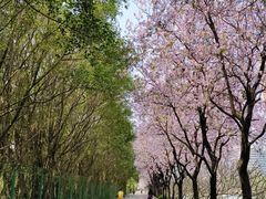 -南丰汇(新港东路店)