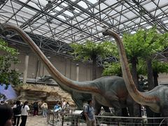 -国家自然博物馆