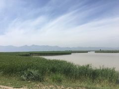 -敕勒川草原