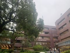 -香港大学