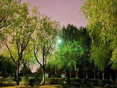 -丁香湖公园