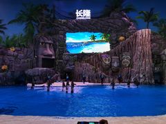 -珠海长隆海洋王国