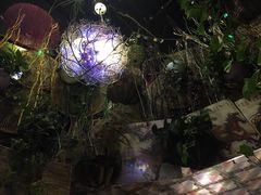 -树洞桌游宠咖小酒馆