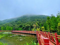 -广州市石门国家森林公园