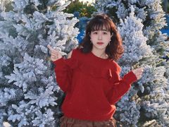 -汕头中海黄金海岸水上乐园