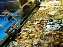 水产区-徐记海鲜(曲江南湖店)