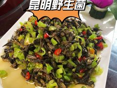 -山大王菌莊