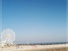 -碧海金沙