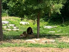 -北京野生动物园