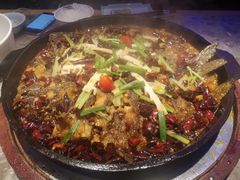 -老板恋上鱼(恒隆广场店)