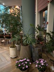 -娇玫荟SPA