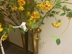 -Dragonfly悠庭·按摩Spa(浦东嘉里城店)