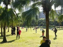 -东风公园