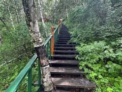 -苏木山森林公园