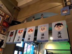 -猫咪博物馆(顶澳仔猫街店)