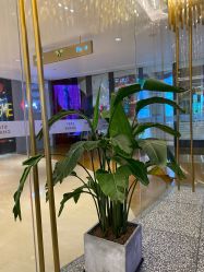 大厅-3AM HAIR SALON烫发染发接发