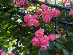 -上海市控江中学