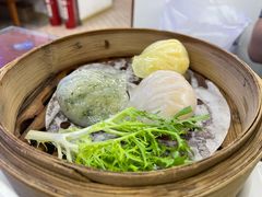 -七爷清汤腩·港式餐厅(金狮广场店)