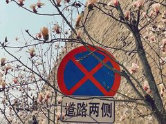 -东华门大街小区