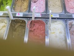-鹤茶野所(上海首店)
