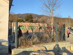 -北京西山国家森林公园