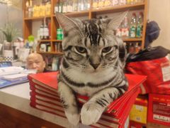 -老蜀人川菜馆(中关村店)