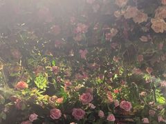 -第101座花园餐厅(湖滨88店)