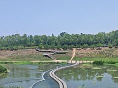 -洨河生态公园