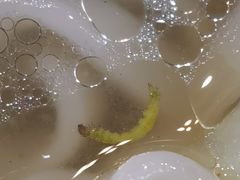 -千岛湖忆湖度假酒店(中心湖景区店)
