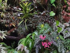 -北京植物园-展览温室