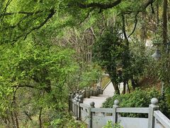 -神光山国家森林公园