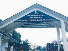-中国大熊猫保护研究中心雅安碧峰峡基地