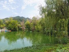 -后柳水乡
