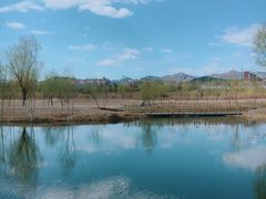 -永定河休闲森林公园