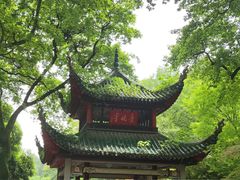 -费大厨辣椒炒肉(万家丽一店)