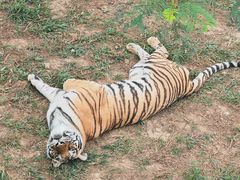 -泉州海丝野生动物世界