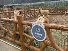 -无锡动物园·太湖欢乐园