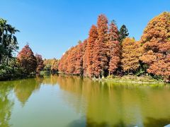 -中国科学院华南植物园