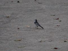 -天台山赤城山景区