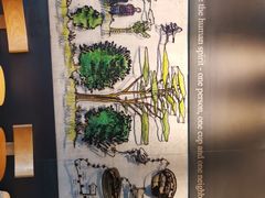 -星巴克臻选(深圳嘉里建设广场店)