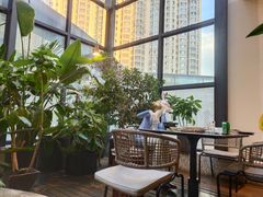 露天位-大树餐厅(红旗街万达店)