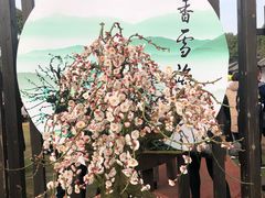 -香雪海