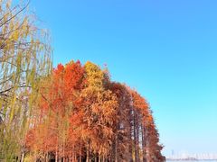 -长广溪湿地公园