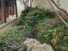 -秋霞圃