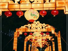 -长春市南湖公园