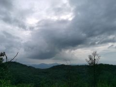 -长虫山生态公园风景林