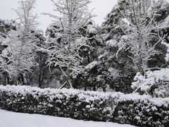 -洋湖国家湿地公园