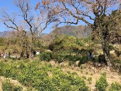 -塔川景区