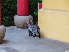 -无锡惠山寺