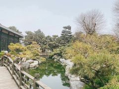 -中国唐苑